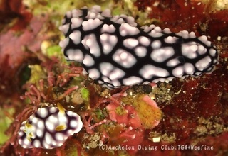 kikamoyou231030-y.jpg