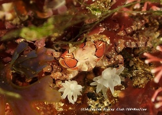 kinchaku210220-so.jpg