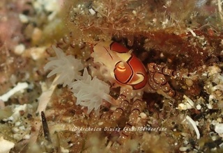 kinchaku230911-nnn.jpg