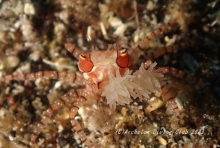 kinchaku230916-n.jpg