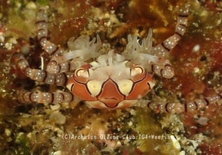 kinchaku231007-ss.jpg