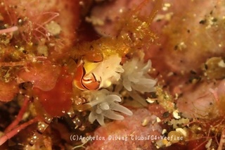 kinchaku231101-n.jpg