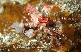 kinchaku241006-n.jpg