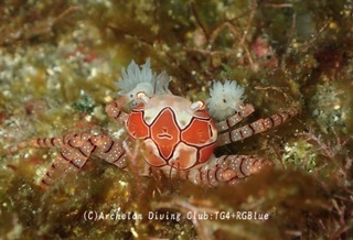 kinchaku241009-y.jpg