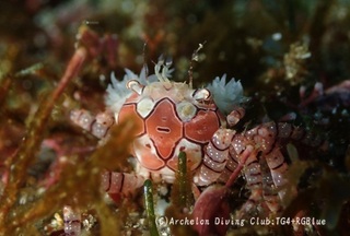 kinchaku241226-s.jpg