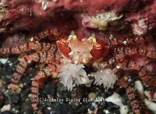 kinchaku250115-s.jpg