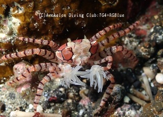kinchaku250207.jpg