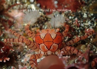 kinchaku250216-s.jpg