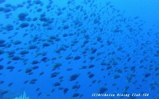 kishoshi230902-kyo.jpg