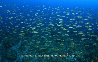 kishoshi230903-funa.jpg