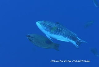 kitusnebera210128-na-04.jpg
