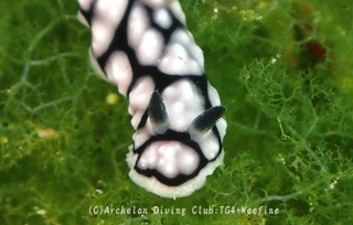 koibo240530-s.jpg