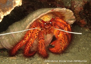 komonyadokari230815-k.jpg
