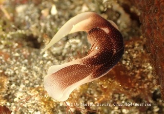konayuki231030-y.jpg