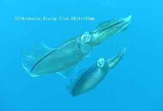 kuaika231120-s01.jpg