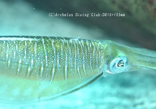 kuaika231120-s03.jpg