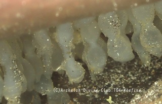 kuaikaegg231202-s02.jpg