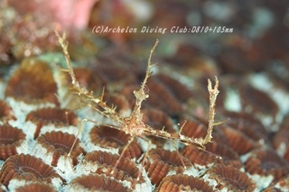 kubinaga230912-n.jpg