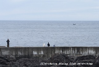 kujira190511-02.jpg