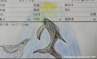 kujira201124.jpg