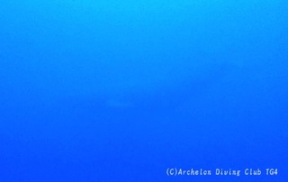 kujira231228-n03.jpg