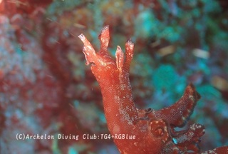 kuroheri250108-s.jpg