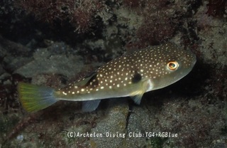 kusahugu250312-k.jpg