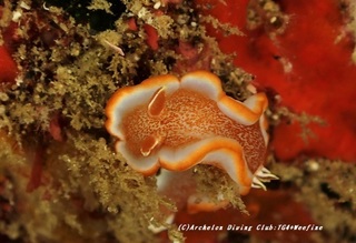kyarameru210420-so.jpg