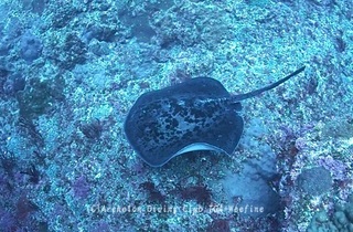 madaraei240303-y01.jpg
