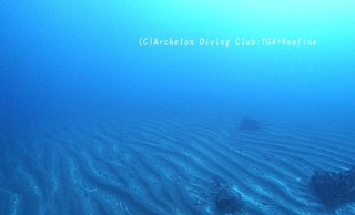 madaraei240303-y02.jpg