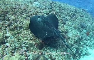 madaraei250221-y.jpg