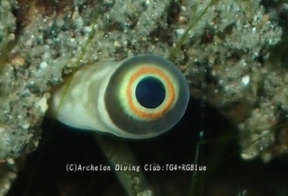 magaki250129-k.jpg