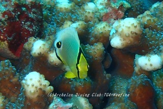 misujichou230920-yy.jpg
