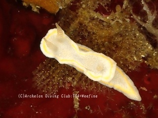 mitsui240603-n.jpg