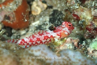 miyaketeguri240902-s.jpg