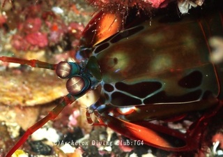 monhana240729-so.jpg