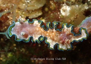 monja240702-ss.jpg