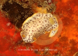 monko240605-n.jpg