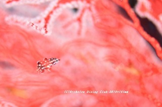 montuki200917.jpg
