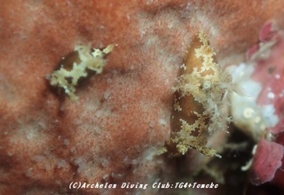 mousan190416-t.jpg