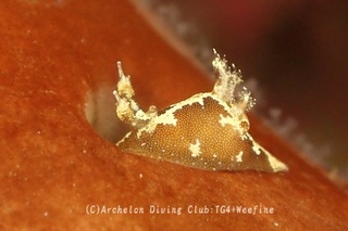 mousan240319-y.jpg