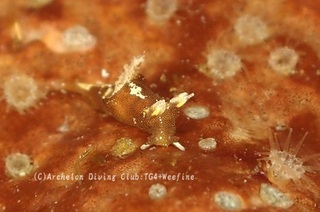 mousan240607-n.jpg