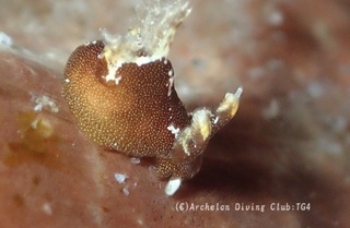 mousan240803-n.jpg