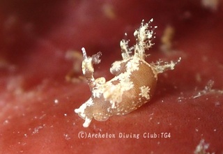 mousan240807-n.jpg