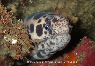 moyoukikai241216-s.jpg