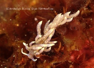 murotomino231031-y.jpg