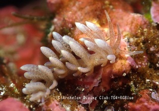 murotomino250217-y.jpg