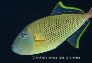 namemon231205-n.jpg