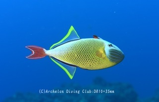 namemon240524-n.jpg