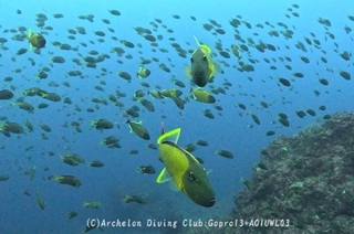 namemon250121-n.jpg